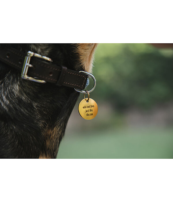 Charm for Dogs Travel Buddy