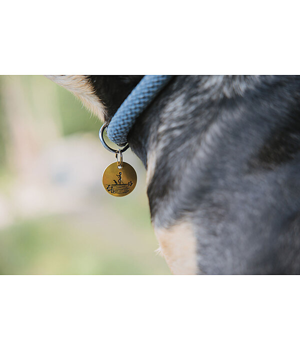 Charm for Dogs Travel Buddy