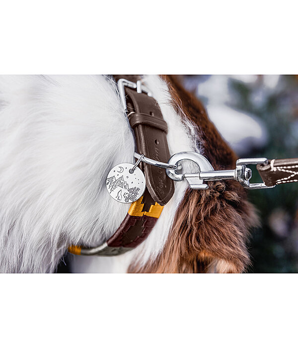 Charm for Dogs Travel Buddy