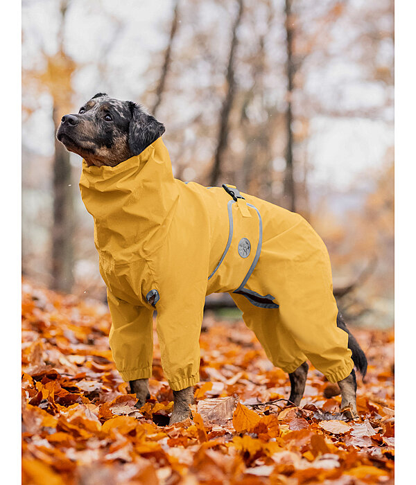 Allover Dog Rain Jacket Sequoia II 0g Kramer Equestrian