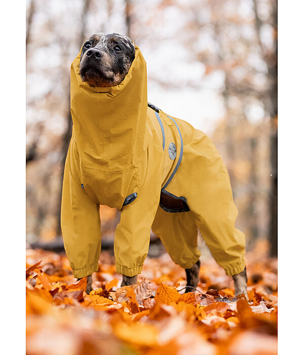 Allover Dog Rain Jacket Sequoia II 0g Kramer Equestrian