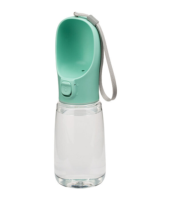 Travel Drinking Bottle Wanderlust II