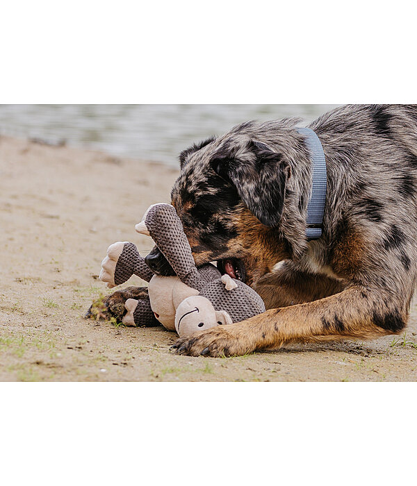 Dog Toy Cuddly Monkey Alfie