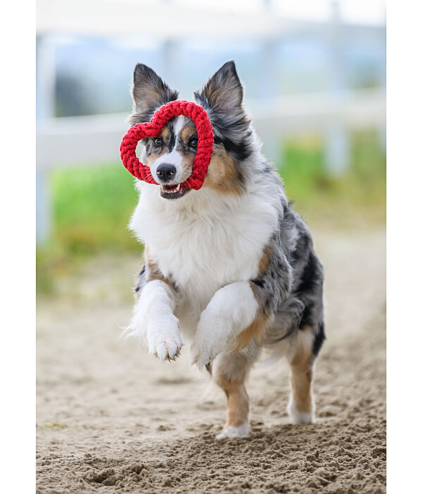 Rope Toy Valentine for Dogs