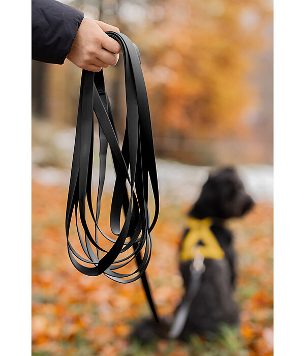 Waterproof Riding Companion Dog Lead Ginny