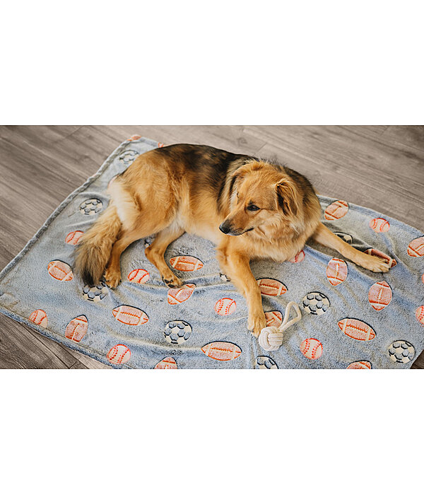 Dog Blanket Glow in the Dark