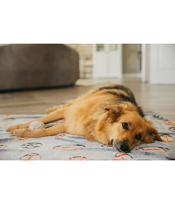 Dog Blanket Glow in the Dark