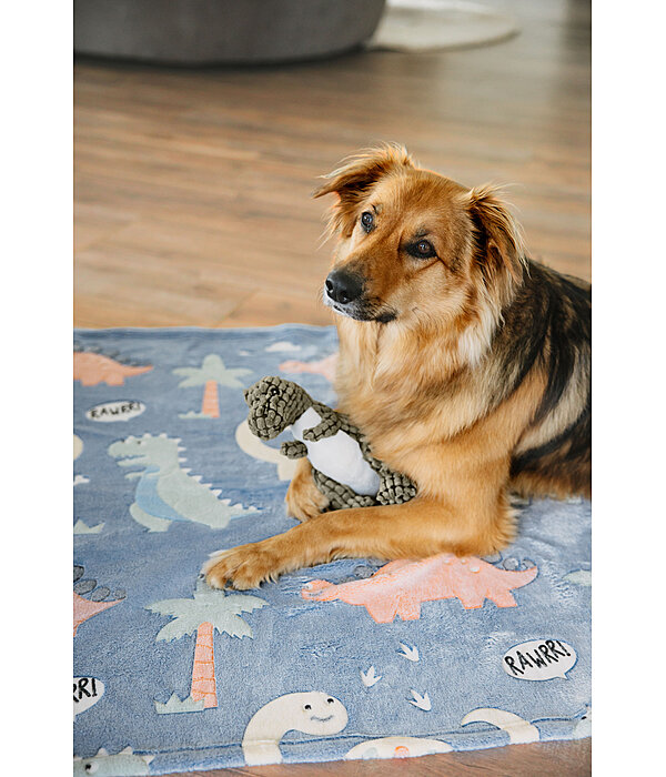 Dog Blanket Glow in the Dark