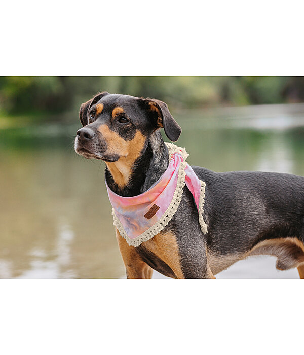 Tie-dye Dog Bandana Dakota