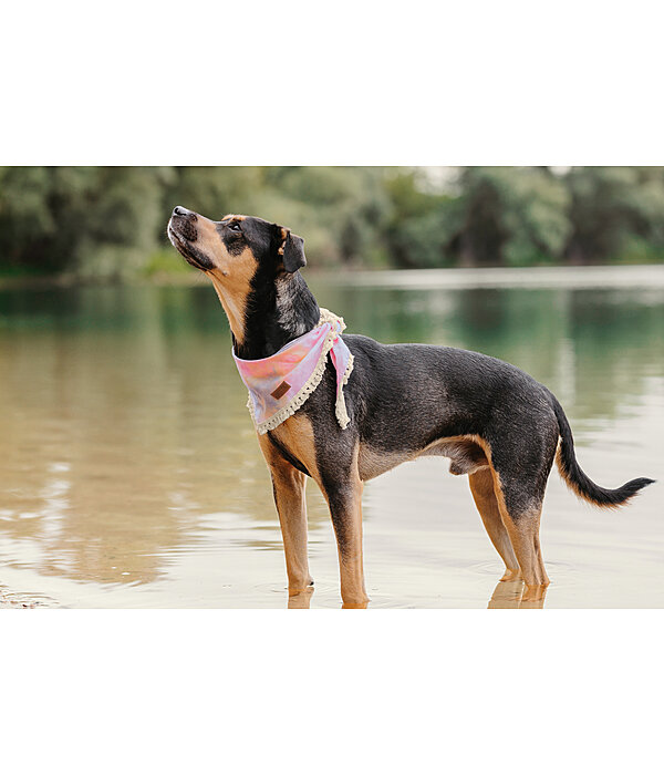 Tie-dye Dog Bandana Dakota