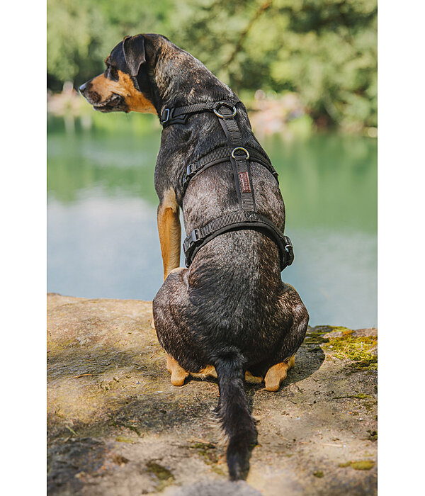 Safety Harness Irmi for dogs