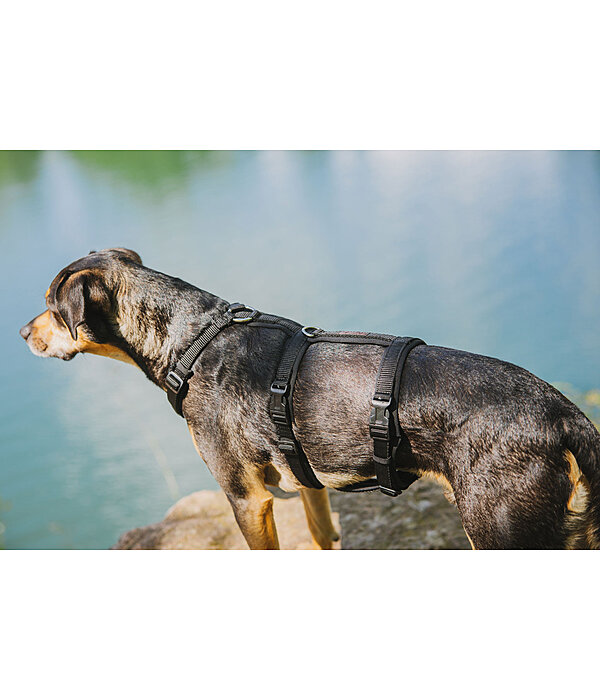 Safety Harness Irmi for dogs