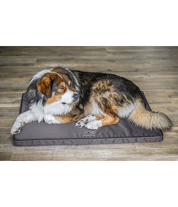 Cooling Dog Bed Mat Atlanta