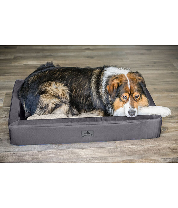 Dog Bed Ohio