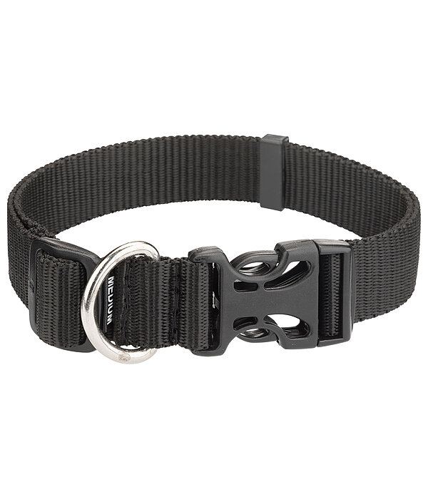 Dog Collar Champ