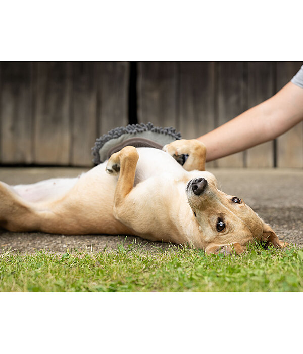 Dog Grooming Glove Cosma