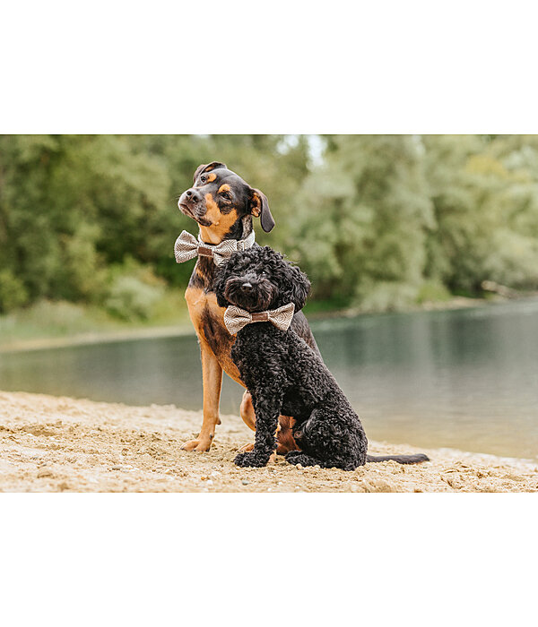 Bow Tie Tribal Love for Dogs