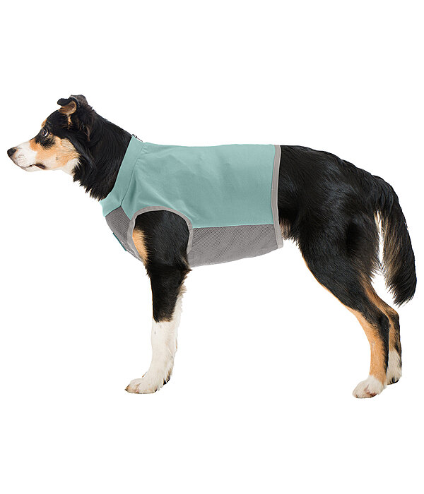 Cooling Vest Refresh for Dogs