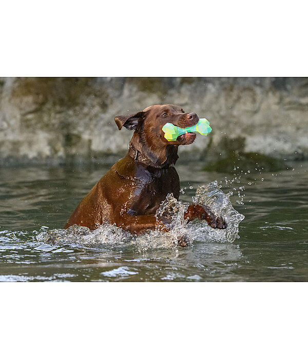 Water Toy Marble Bone for Dogs