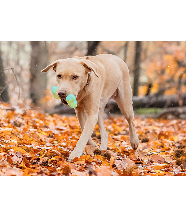 Water Toy Marble Bone for Dogs