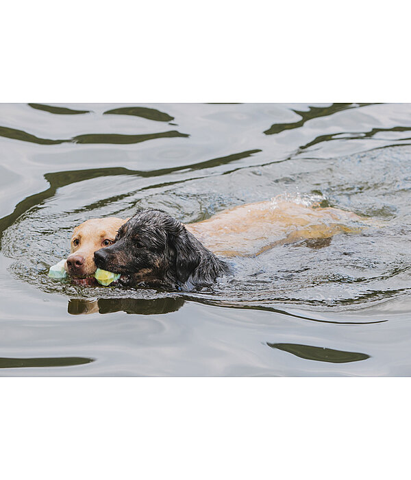 Water Toy Marble Bone for Dogs