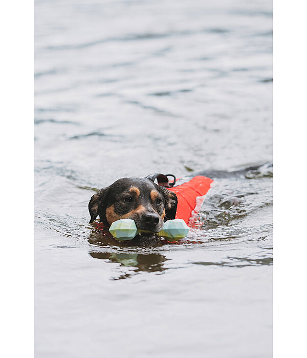 Water Toy Marble Bone for Dogs