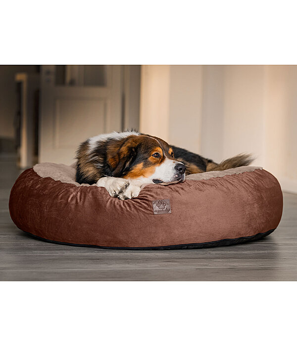 Memory Foam Dog Bed Quincy