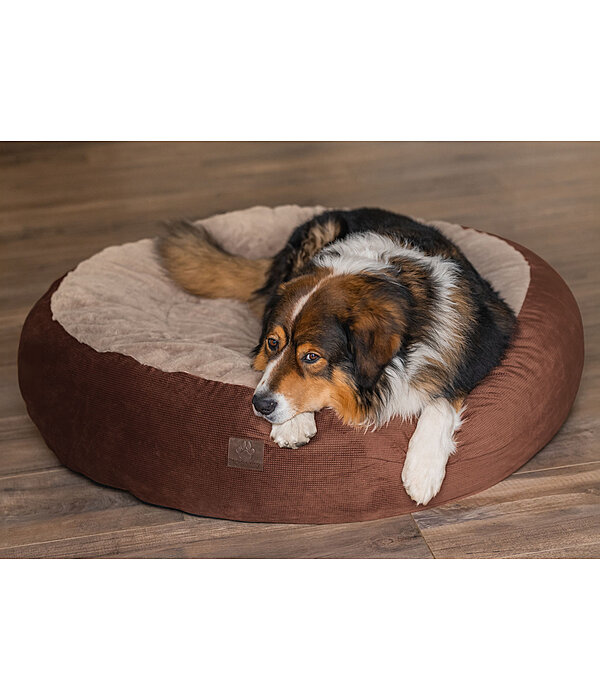 Memory Foam Dog Bed Quincy