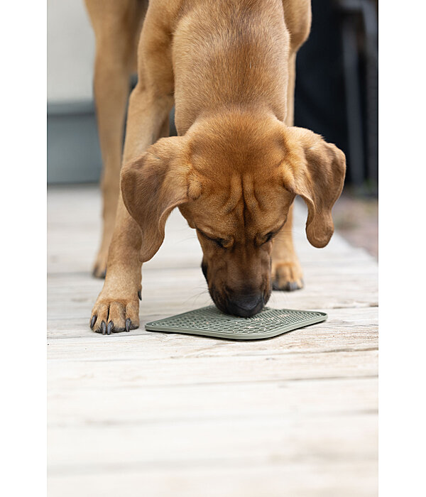 Dog Lick Mat Classic Line