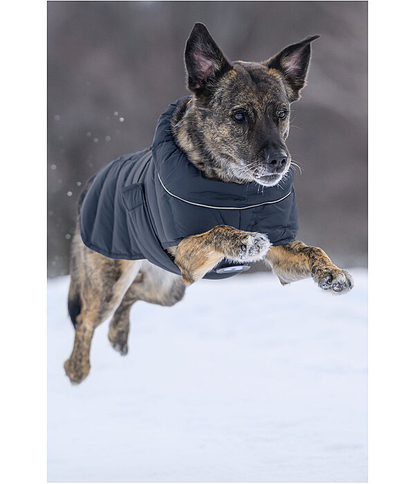 LED Quilted Dog Jacket Arlo, 300g