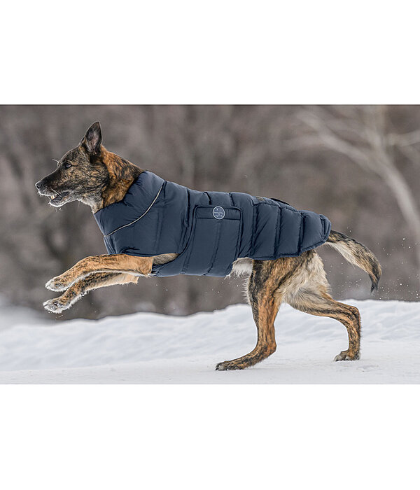 LED Quilted Dog Jacket Arlo, 300g