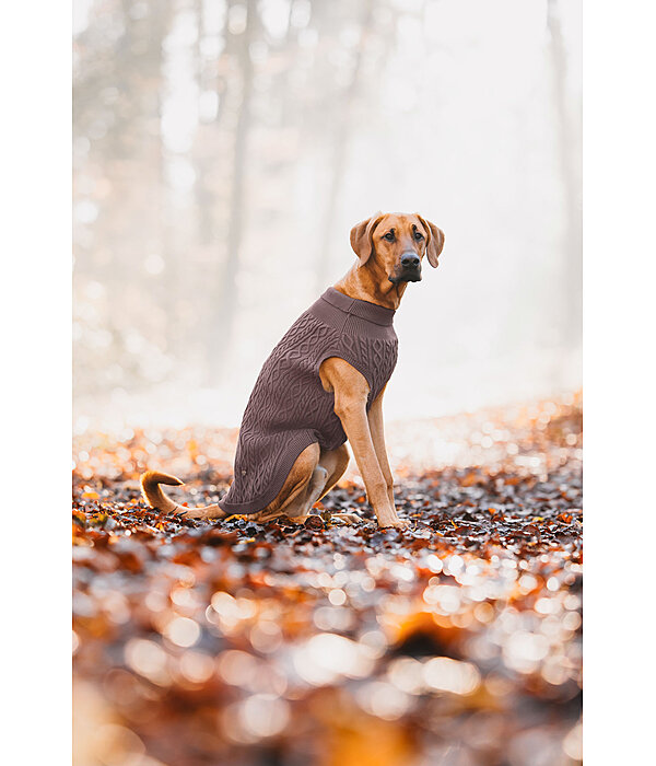 Dog Turtleneck Jumper Maisie