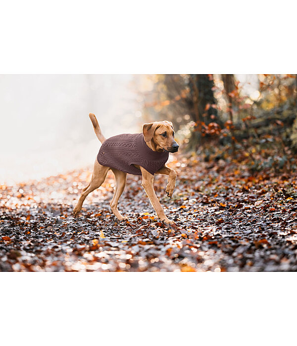 Dog Turtleneck Jumper Maisie