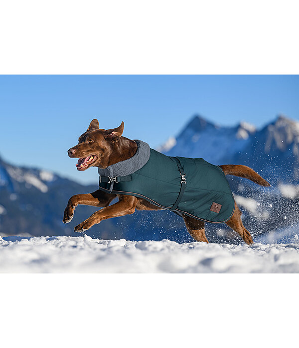 Winter Dog Coat Gizmo with Faux Fur Lining, 200g