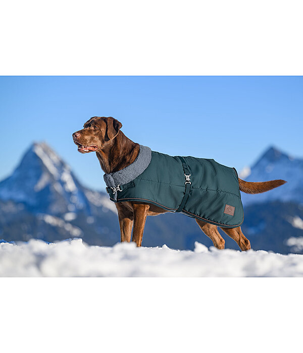 Winter Dog Coat Gizmo with Faux Fur Lining, 200g