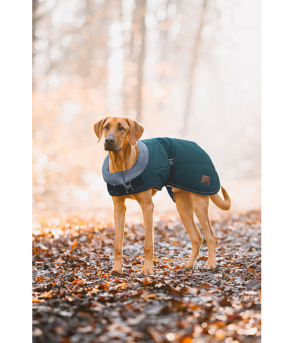 Winter Dog Coat Gizmo with Faux Fur Lining, 200g