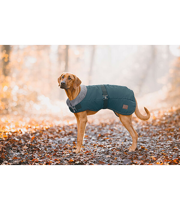 Winter Dog Coat Gizmo with Faux Fur Lining, 200g
