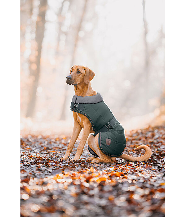 Winter Dog Coat Gizmo with Faux Fur Lining, 200g