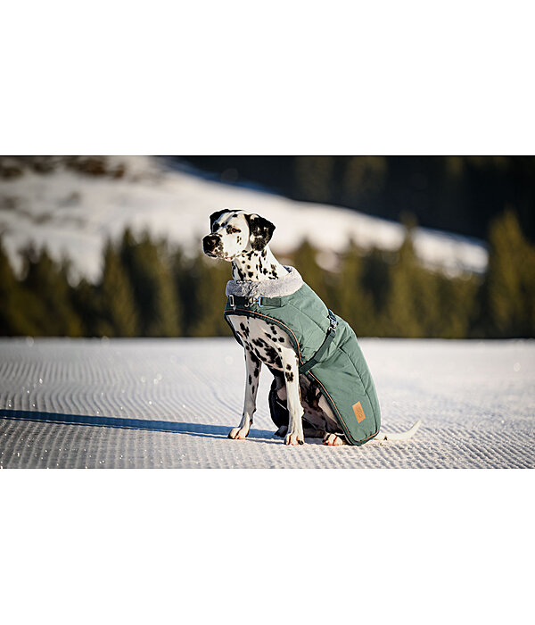 Winter Dog Coat Gizmo with Faux Fur Lining, 200g
