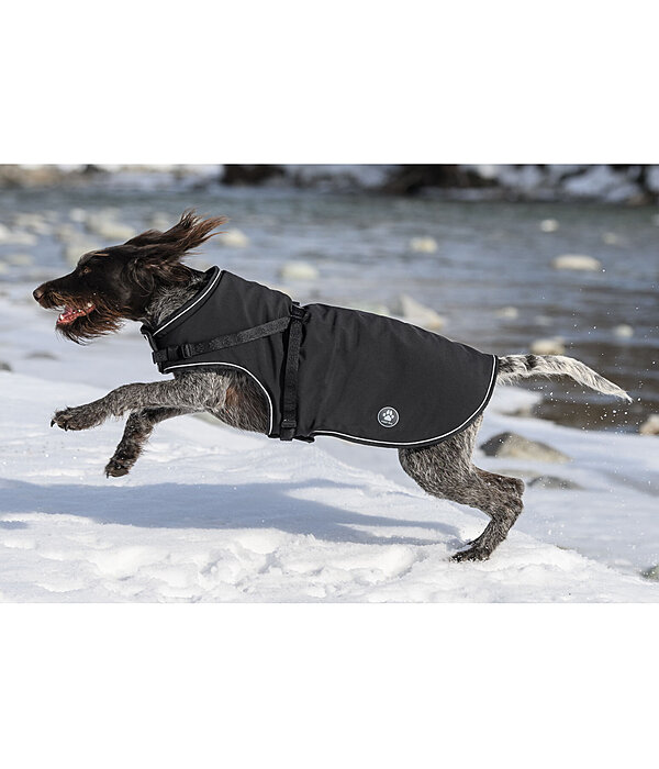 Softshell Dog Coat Cruz with Integrated Harness, 160g