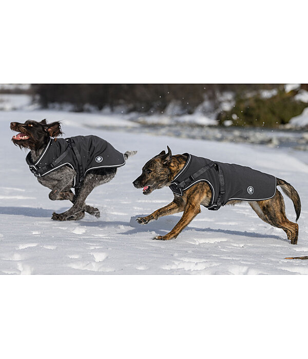 Softshell Dog Coat Cruz with Integrated Harness, 160g