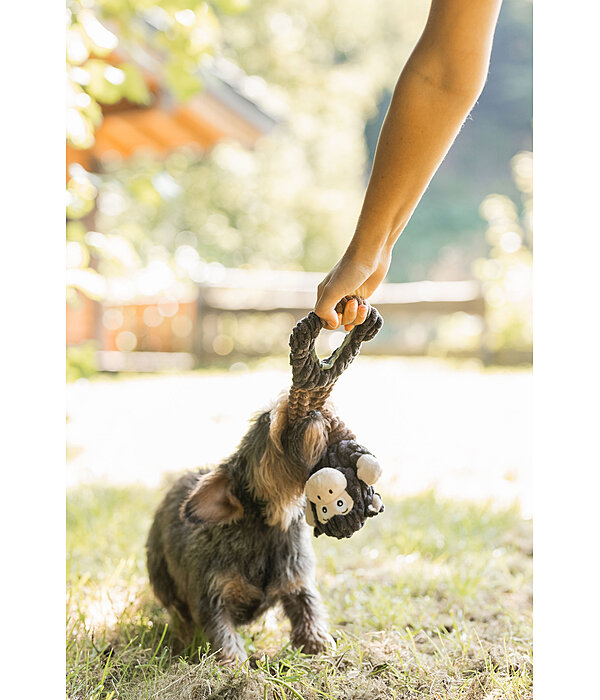 Plush Toy Bounce for Dogs