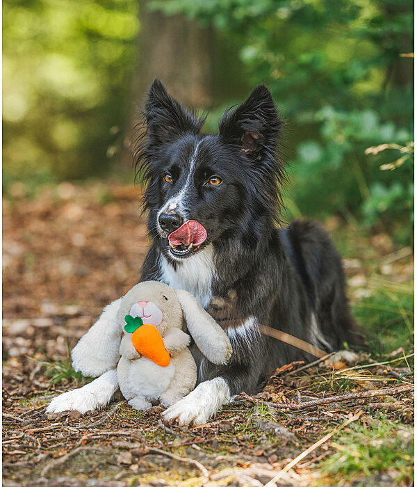 Plush Toy Bunny for Dogs