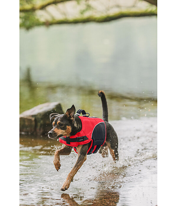 Dog Life Jacket Life Guard