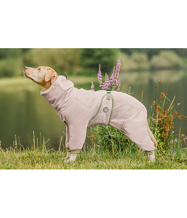 Eczema Dog Coat Tropics
