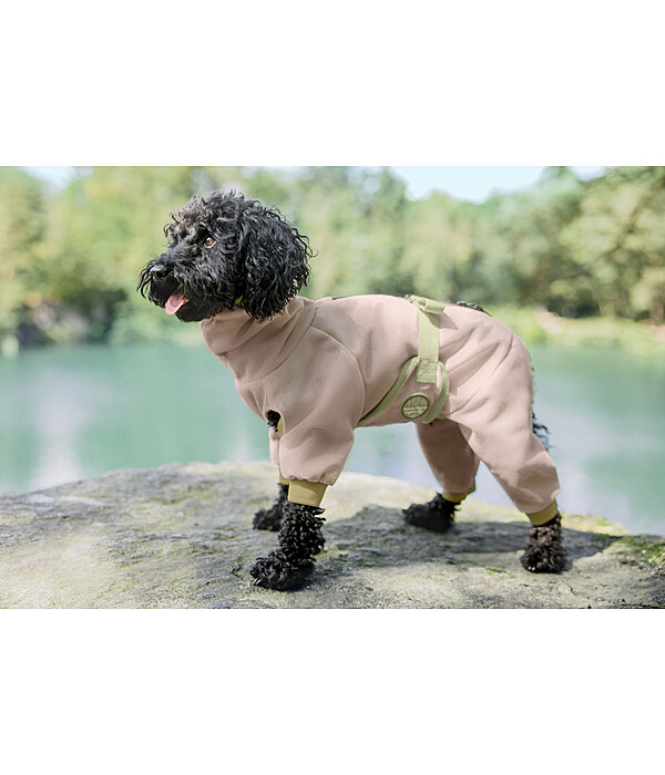 Eczema Dog Coat Tropics