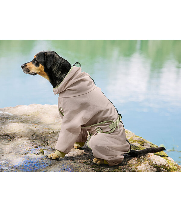 Eczema Dog Coat Tropics
