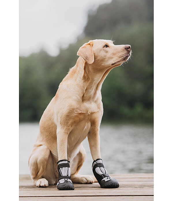 Paw Protection Shoes Dubai for Dogs