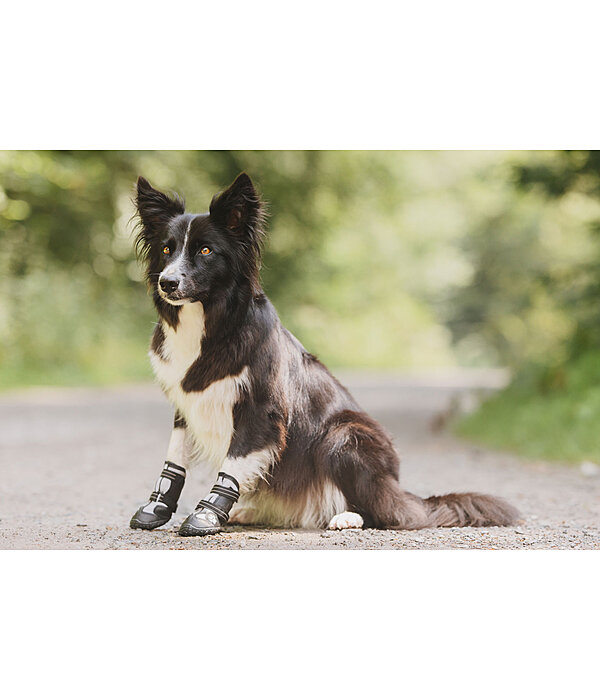 Paw Protection Shoes Dubai for Dogs