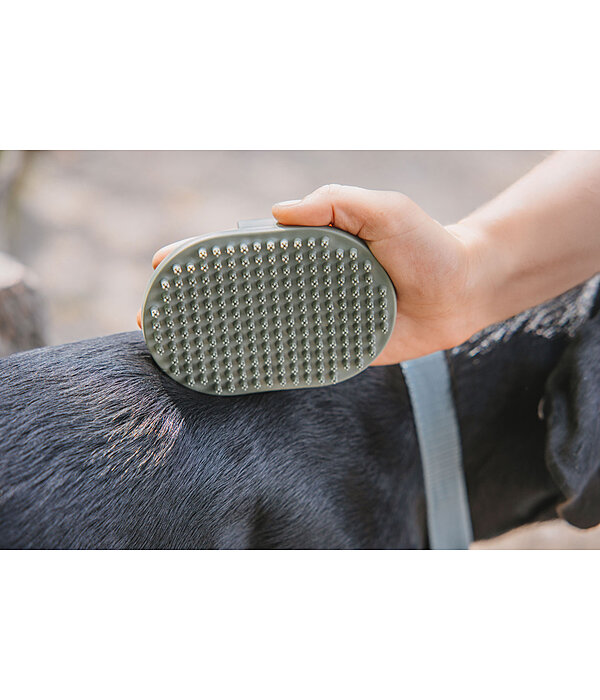Dog Curry Comb Zeyna